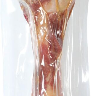 Zolux Osso di prosciutto femore per Cani