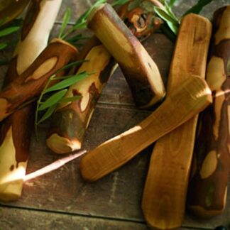 Olive-Chewing Stick-M1 Piece
