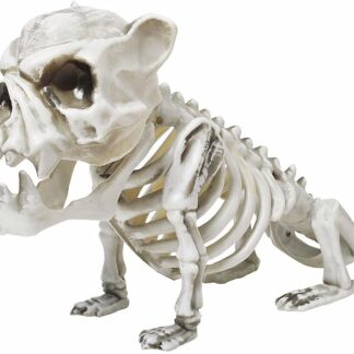 fun-world 13 Skele-Bull Dog Decor