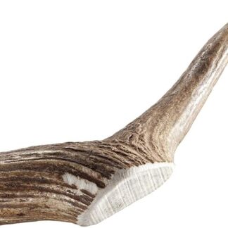Chewies | corno di minerale di snack | 50 G