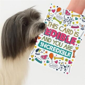 Scoff Paper Biglietto d'auguri per cani commestibili biglietto di anniversario che il tuo cane può mangiare! COMMESTIBILE INCREDIBILE, Singolo A5, Cartoncino al gusto POLLO. Ideale come regal