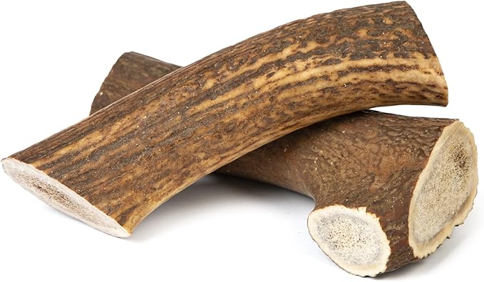 CORNA DI CERVO INTERA LARGE 76-150g - Masticativo 100% naturale