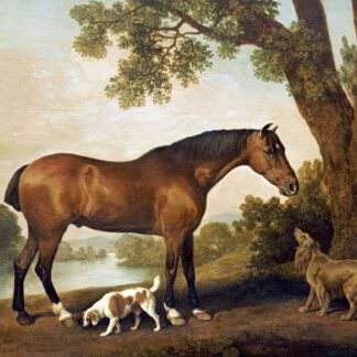 Immagine su TELA ROLLED A Bay Hunter, uno Springer Spaniel e un Sussex Spaniel, 1782 Stubbs George - Animali orizzontale Stampa artistica animali cani cavalli caccia cane 26_X_33_in