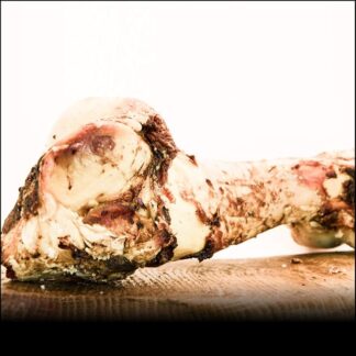 Bovini ossa, gigante di coscia, Dino – Jumbo min. 1500g – 2000 G – ca. 30 cm – di George and Bobs