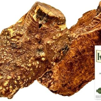 Roice da masticare per cani da albero Hide Extra Piccola 2 pezzi legno da masticare per cani ossa di legno come giocattolo per cani XS