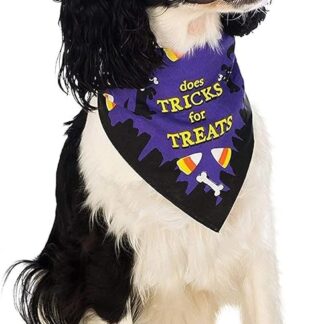 Rubini Costume Company Trick for Treats Pet Bandana
