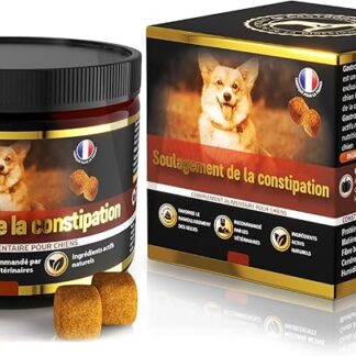 GastroBalance Sollievo dalla stitichezza per cani – 100% di ingredienti naturali ammorbidenti feci Cani – 60 crocchette lassative che i cani adorano (Gout Bacon)
