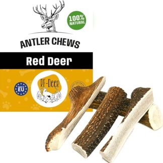 RF - Antler di Cervo per Cani Masticare Naturale e duraturo Indulgenza e Cura Dentale per Il Vostro Cane Diverse Versioni Taglia XL Versione Soft Premium 151-190 g 19-21 cm 1 Pezzo