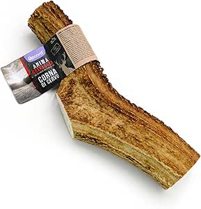 Record - Corna di Cervo, Masticativo Naturale per Cani di Lunga Durata. Snack per Cani Resistenti, Ricchi di Minerali e Calcio, Senza Additivi o Conservanti. Adatto a tutti | XL, 161-220 gr