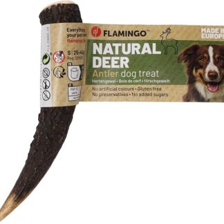 bastoncini per cani – Snack Nature Corna di Cervo Hard – Taglia S – 45g – articolo da masticare naturale – cura dei denti – dall’Europa