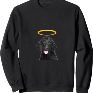 Holy Dog Retriever Curly-Coated Felpa