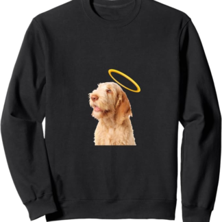 Holy Dog Spinone Italiano Felpa