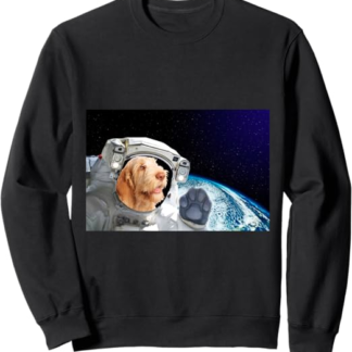 Dog in Space Spinone Italiano Felpa