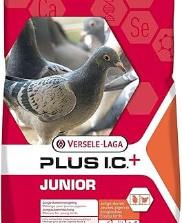 Versele-Laga Junior Plus Ic - Pigeons 20 KG