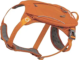 Kurgo Cascade Harness, Hiking Backpack for Dogs, Pet Harness with Backpack for Camping with a Dog (Orange, Large)
