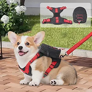Dog Backpack Harness for Small and Medium Dogs, Adjustable Lightweight Carrier with Detachable Backpack and Leash, Water Resistant for Hiking, Training, and Daily Walks, M