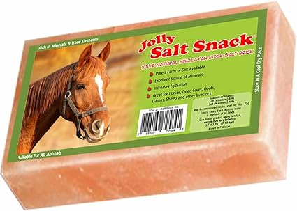 Horsemen's Pride 100% Himalayan Salt Brick, 4 Pounds