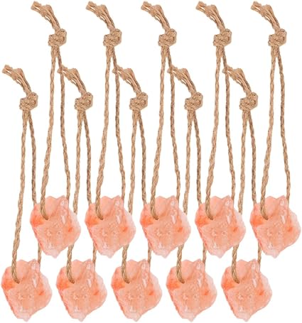 10pcs Animal Lick Salt Blocks Natural Pink Salt Rock for Deer Cattle Horse Pet Chew Toys Lick for Wildlife Feeding