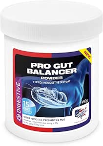 Equine America Pro Gut Balancer | Premium Ready To Use Horse & Pony Supplement | Support For Digestive Function & Performance | 450g