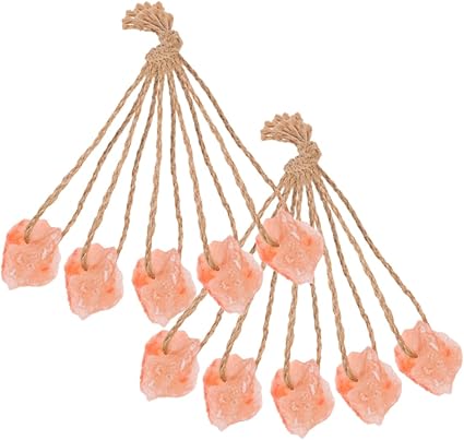 ERINGOGO Natural Pink Salt Lick Blocks for Horses and Deer 10pcs (30-50g Each) Natural Mineral Salt Chew for Livestock and Small Animals