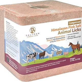 SALTEAN Compressed Himalayan Horses Lick Natural Pink Salt, with strong hanging Rope, No Starch(2.5 kg) Salt Range Pakistan