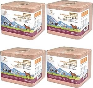 SALTEAN Compressed Himalayan Horses Lick Natural Pink Salt,For all Animals(2.5 kg) Salt Range Pakistan (PACK OF 4)