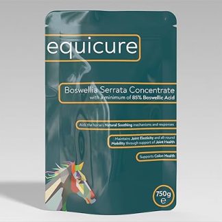 Boswellia Serrata Concentrate Powder For Horse/Pony (750g Refill)