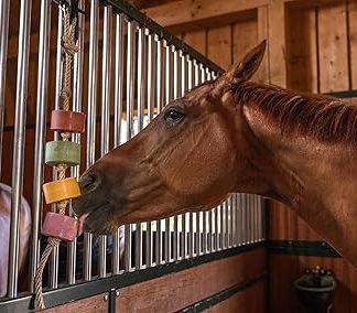 Horse Treats – IMIMA Lolly-Lick NO STRESS 2-Pack with Chamomile & Lavender – Calming Natural Horse Treats for Box, Paddock, Stall – Includes FREE Hanging Rope