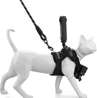 Жилет Harnais для Chat Léger et Réglable Fournitures для Animaux | Harnais pour Chat de Taille Moyenne pour Caméra d'Action Pour toutes гонки, шатоны, интерьер, , randonnée, променад,