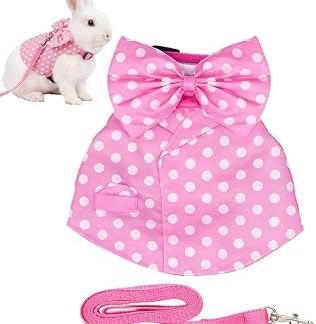 Регулируемый и респираторный костюм Vêtements de Lapin | Harnais pour Chat Anti-Evasion avec Longe et Nœud Pour Petits Animaux de Compagnie, Furet Domestique, , Écureuil, Promenade