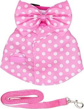 Костюм Harnais pour lapin Регулируемый и респиратор | Harnais pour Chat avec Laisse et Nœud Pour Petits Animaux de Compagnie, Furet Domestique, , Écureuil, Promenade en