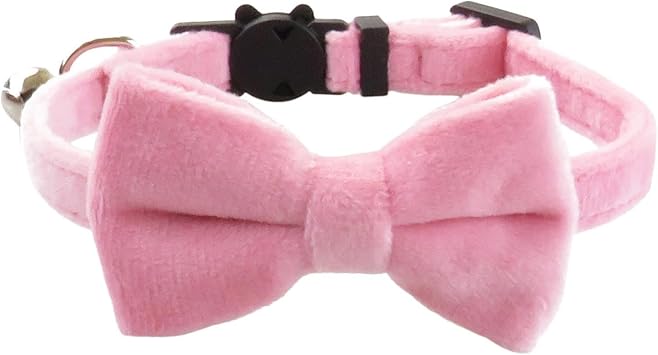 Ожерелье pour chiens avec nœud papillon - Не вызывает раздражения - Pour chiens et | чаты - Аксессуары для декора, фотографии, дома, свадьбы, променада