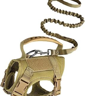 Великое сердце для дыхания и быстрого облегчения чата | Жилет Harnais pour Chat Pour Exterior, Parc, Pelouse, Promenade, , выездка, и et grandes Tailles