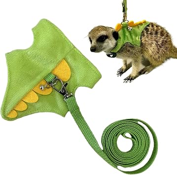 Harnais Et Laisses Pour Furet Vêtements Doux Mignons De Petits Animaux | Жилет регулируемый, Harnais de Marche pour Aventure en Plein Air, Promenade, Photographie, Fête, Chatons